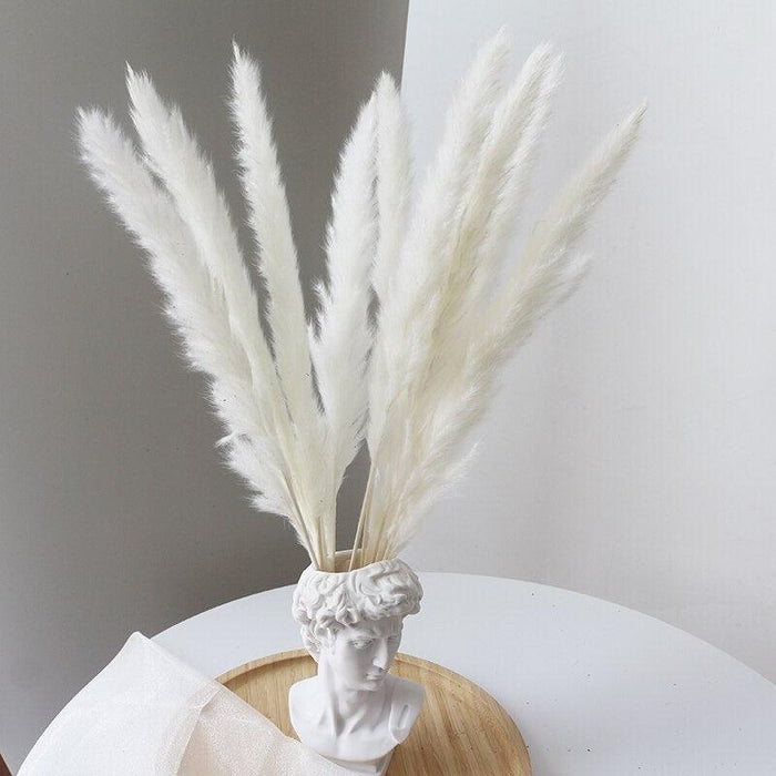 Elegant Dried Pampas Grass Arrangement for Trendy Home Styling