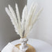 Elegant Natural Dried Pampas Grass Bundle for Stylish Indoor Decoration