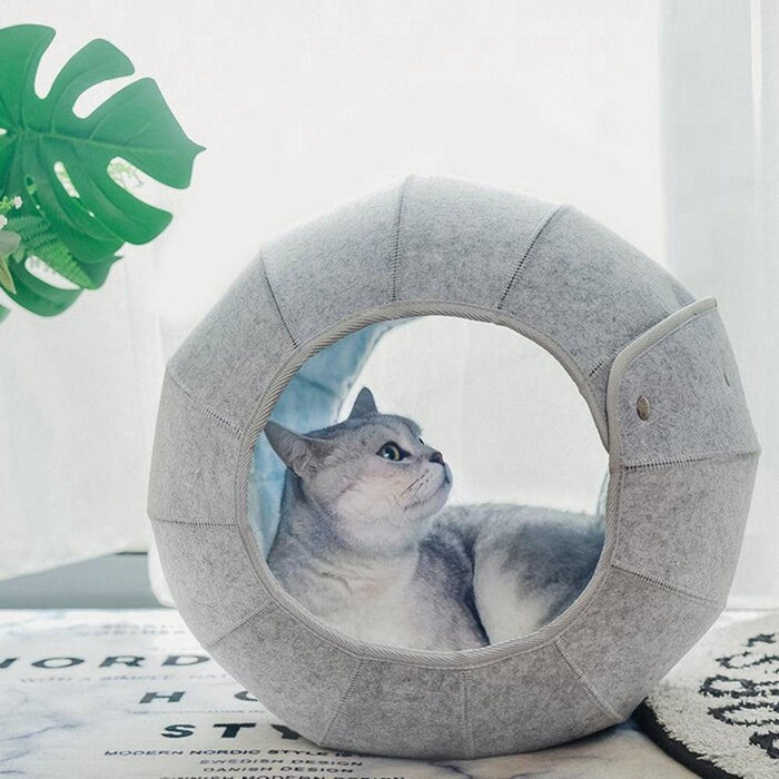 Shell Cat Retreat: Transforming Plush Bed & Tunnel Haven