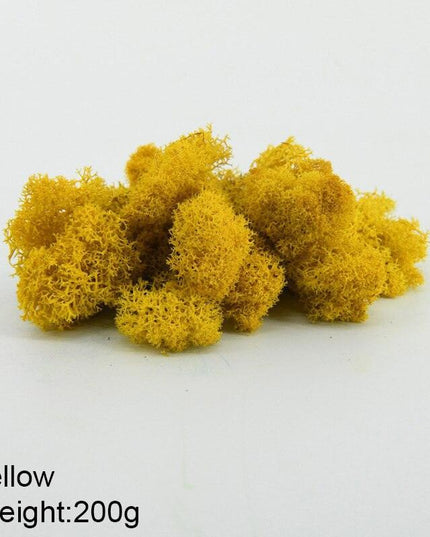 Timeless Greenery Art Creation Kit - Eternal Moss & Custom Grass Mix - 200g