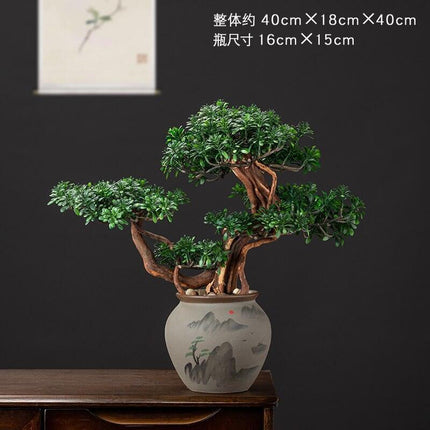 Prosperity Emblem Chinese Pine Bonsai - A Luxurious Symbol of Wealth and Abundance