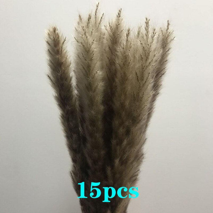 Bohemian Chic: 15-Piece Mixed Color Dried Pampas Grass Bundle - 45cm Length