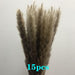 Bohemian Chic: 15-Piece Mixed Color Dried Pampas Grass Bundle - 45cm Length