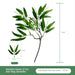 Eucalyptus and Peach Floral Arrangement: A Touch of Nature for Your Space