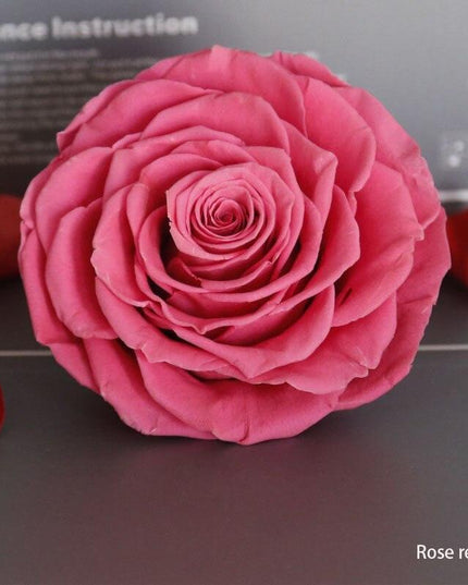 Timeless Grace: Luxurious Preserved Rose Head for Lasting Splendor