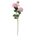 Chic 61CM Faux Peony Stem - Effortless and Timeless Floral Accent for Any Space