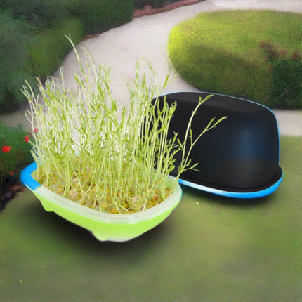 Effortless Fresh Produce Sprouting Kit for Home Nutrition