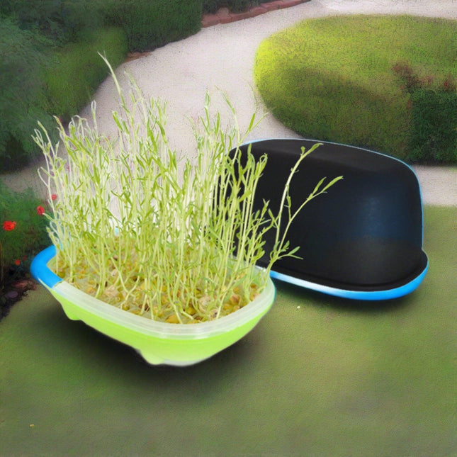 Effortless Fresh Produce Sprouting Kit for Home Nutrition