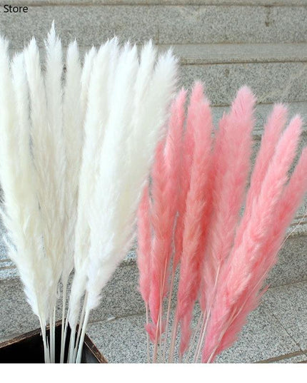Timeless Elegance Pampas Grass Arrangement: A Chic Addition to Your Home Decor