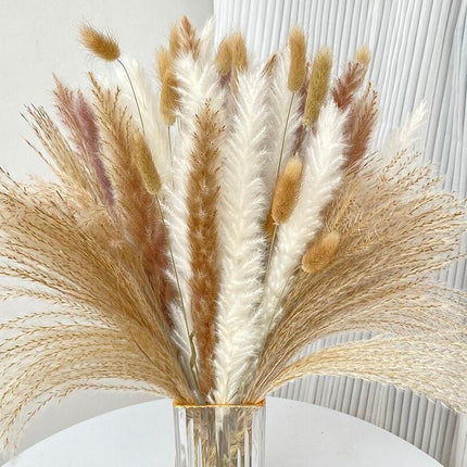 Chic 60-Piece Dried Pampas Grass Stems for Stylish Home and Wedding Arrangements