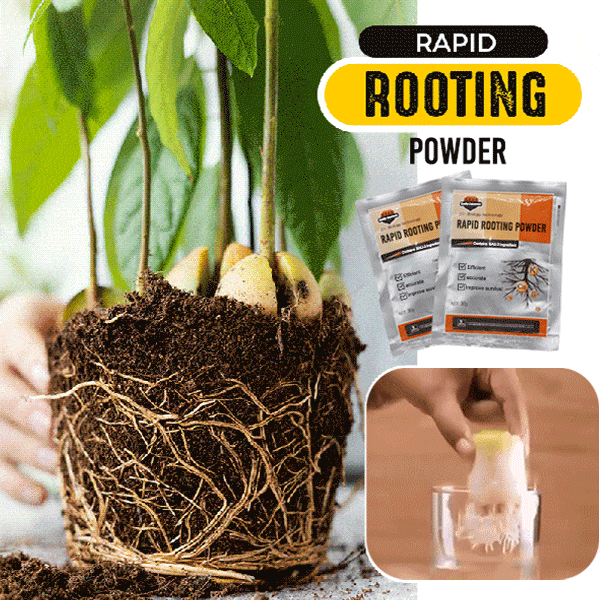 Rapid Root Revolution: Premium Growth Enhancer for Swift Plant Propagation