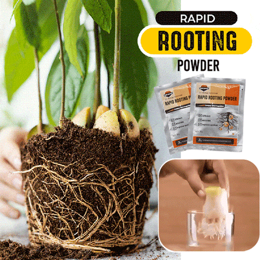 5/1Pcs Quick Rooting Powder Extra Fast Plant Flower Rooter Hormone Powder Growth Transplant Fertilizer Strong Sprout Seed Agent - Très Elite