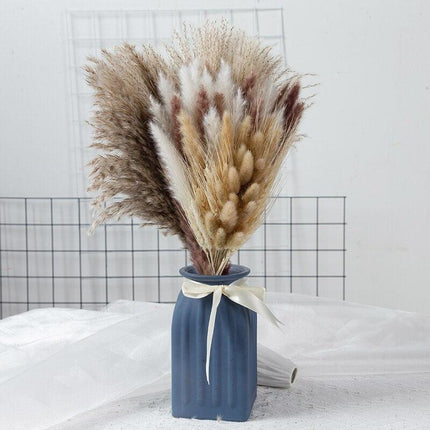 Natural Dried Rabbit Tail Pampas Grass Decorative Bundle - 80 Stems