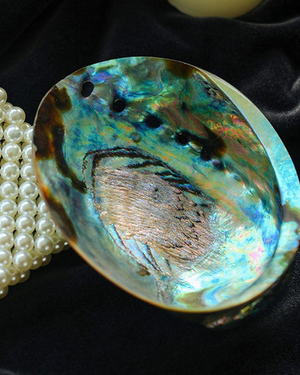 Exquisite Abalone Shell Smudging Kit with Elegant Tripod Stand - 11-13CM