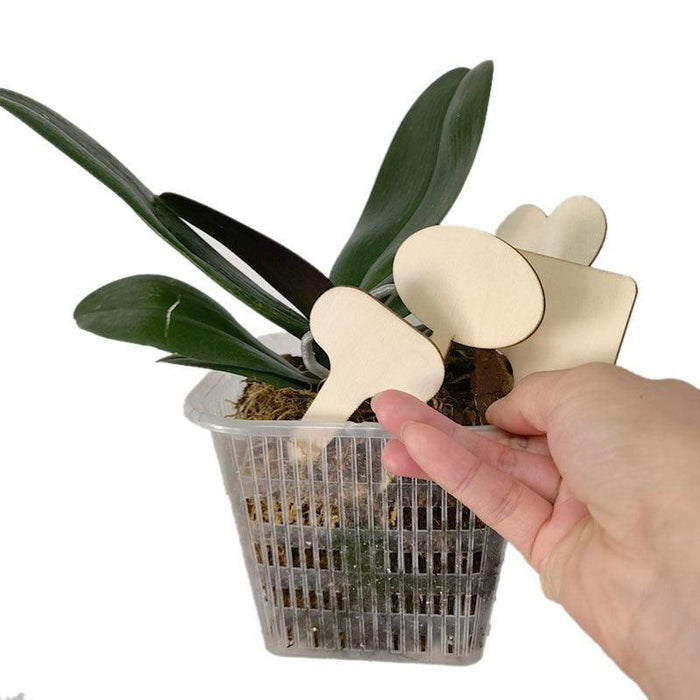 Eco-Conscious Wooden Plant Label Set - 10 Reusable Tags with Writing Pen