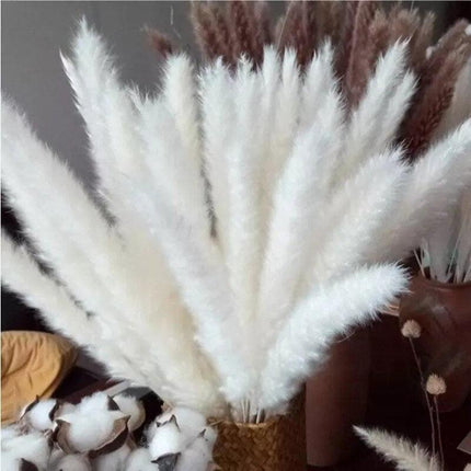 Elegant Dried Pampas Grass Bouquet for Stylish Home Accents