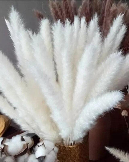 Elegant Dried Pampas Grass Bouquet for Stylish Home Accents