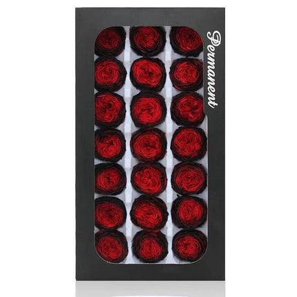 Austin Rose Miniature Bouquet - Luxurious Preserved Grade A Flowers for Timeless Décor and Gifting