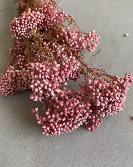Timeless Treasures: Preserved Millet Flowers for Elegant Wedding Decor