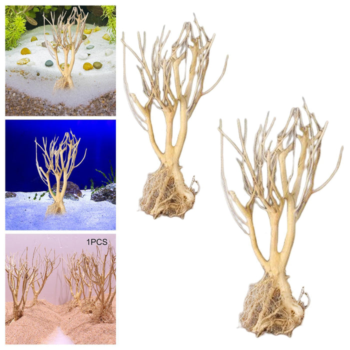 Driftwood Aquarium Decor: Natural Wood Piece for a Safe and Stunning Pet Habitat