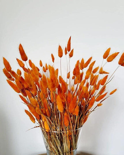 Boho Chic Dried Bunny Tail Floral Arrangement - Elegant Rustic Home Accent