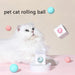 Interactive Electric Cat Toy for Indoor Engagement and Exercise