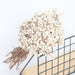 Elegant White Dried Flower Bouquet with Small Fruits for Home and Events