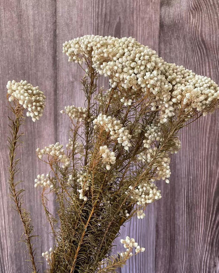 Timeless Treasures: Preserved Millet Flowers for Elegant Wedding Decor
