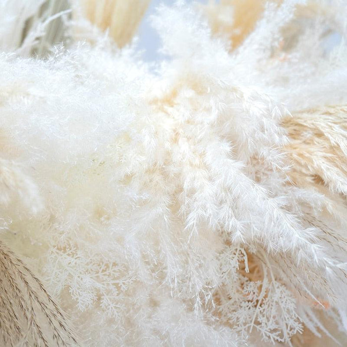 Bohemian Chic Dried Pampas Grass Bundle with Endless Decor Options