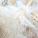 Bohemian Chic Dried Pampas Grass Bundle with Endless Decor Options