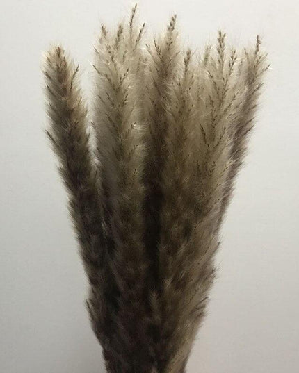 Bohemian Charm: 15-Piece Dried Pampas Grass Set - 45cm Stems