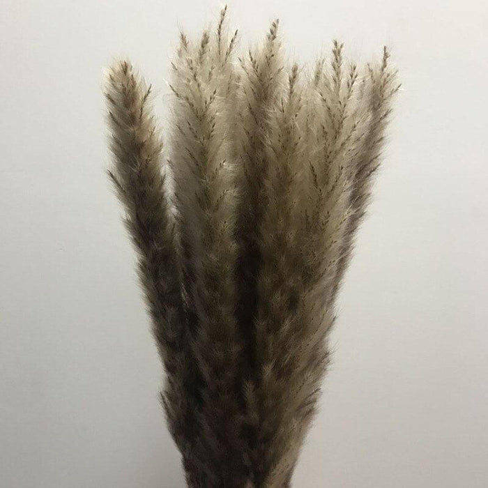 Home Decor Set of 15 Natural Dried Pampas Grass Bundle - Mixed Colors, 45cm Length