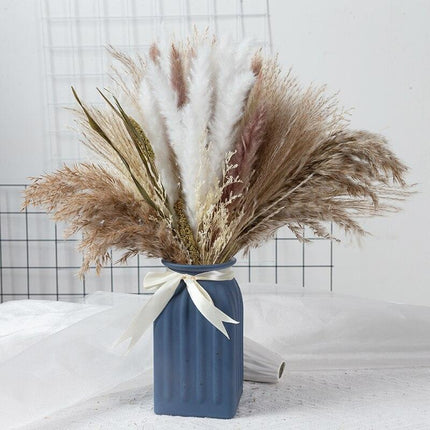 Natural Dried Rabbit Tail Pampas Grass Decorative Bundle - 80 Stems