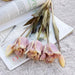 5pcs Luxurious Silk Parrot Tulip 70cm