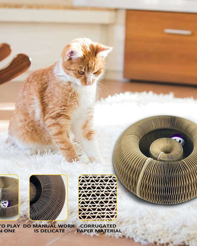 Cat's Claw Interactive Scratch & Climb Play Set