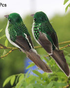 Style8-2pcsGreen16cm