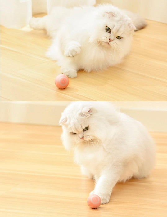Automatic Cat Toy for Interactive Indoor Fun and Training