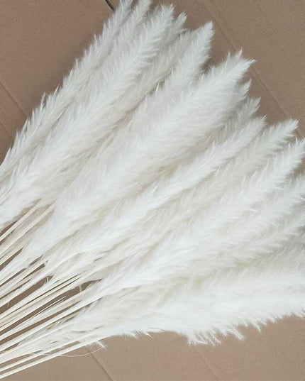 Chic Pampas Grass Home Decor Set - 15 Beautiful Dried Bouquets