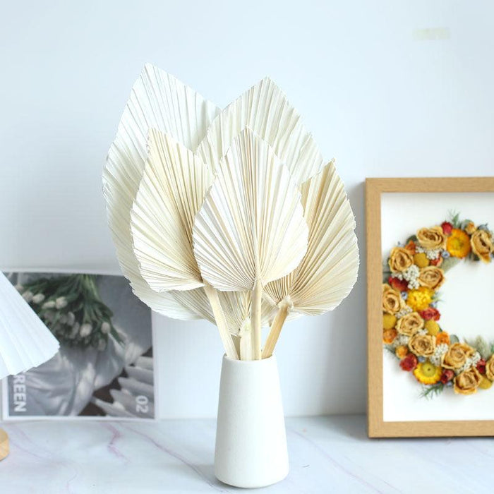 Bohemian Palm Leaf Decorative Fan for Tropical Vibes