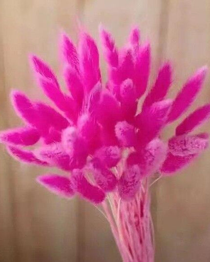 Rustic Boho Bunny Tail Dried Flower Arrangement for Weddings and Home Decor