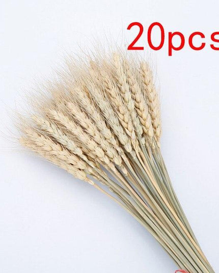 Boho-Inspired Pampas Grass Arrangement: Perfect for Weddings and Home Styling