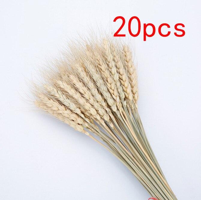 Boho-Inspired Pampas Grass Arrangement: Perfect for Weddings and Home Styling