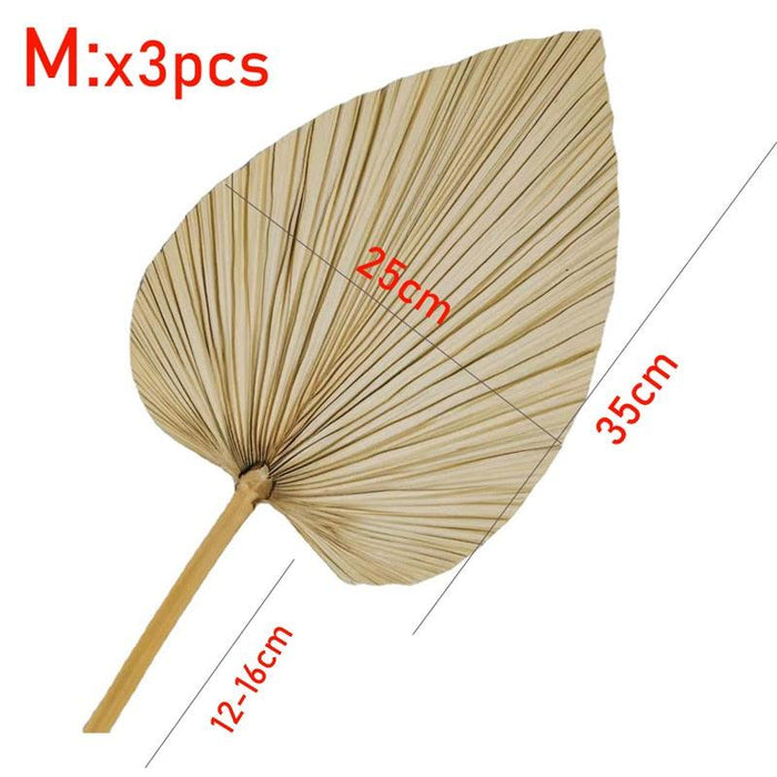 3-Piece Large Dried Palm Fronds for Boho Decor