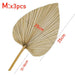 3PCS Large Dried Palm Leaves