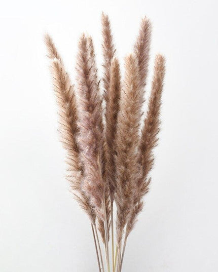 Elegant Dried Floral Arrangement with Pampas Grass - Ideal for Home Decor and Special Occasions