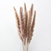 Sophisticated Reed and Pampas Grass Floral Ensemble - Exquisite Botanical Display for Events and Home Styling