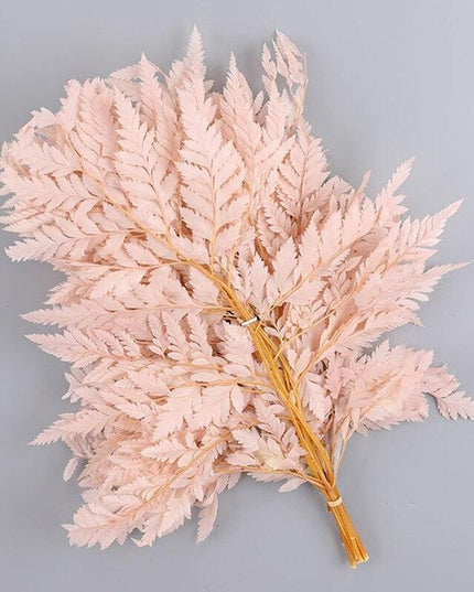 Alpine Serenity Fern Decor Kit: Bring the Essence of Nature Indoors