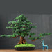 Zen-Inspired Artificial Pine Bonsai Tree - Maintenance-Free Decor Piece