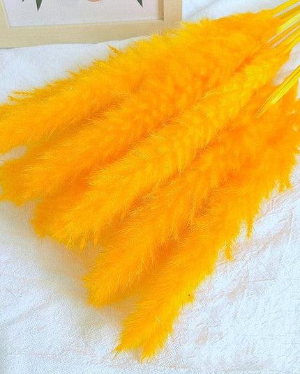 Chic Pampas Grass Home Decor Set - 15 Beautiful Dried Bouquets