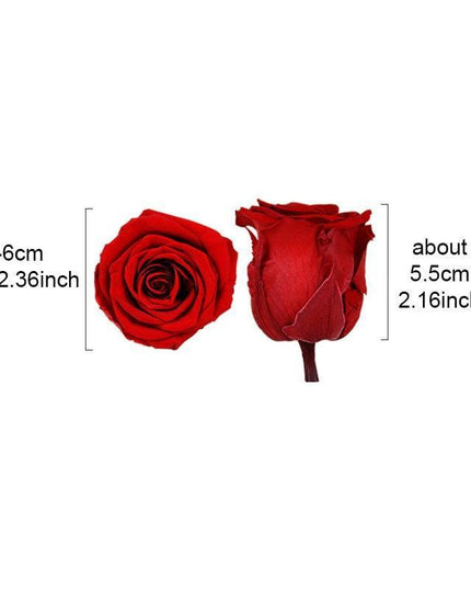 Eternal Blooms: Luxurious 10-Piece Preserved Rose Heads Collection